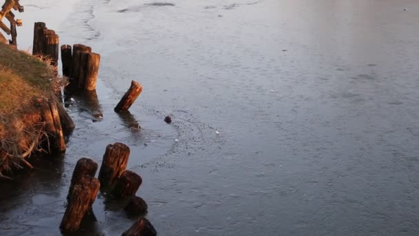 Zugefrorener Teich in der Wintersaison — Stockvideo