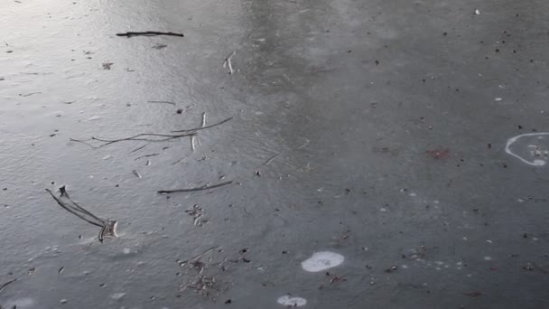 Замороженный пруд в зимний сезон — стоковое видео