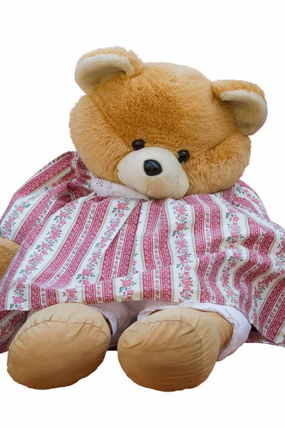 Isolierte niedliche Teddybären — Stockfoto