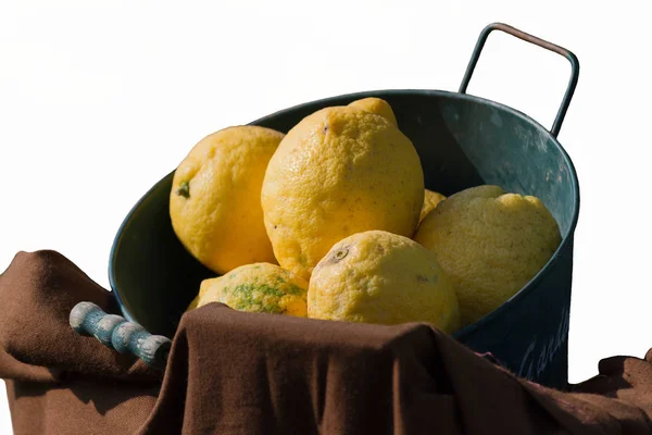 Limon ve narenciye — Stok fotoğraf