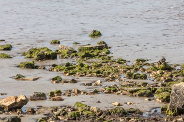 kayalar ve resif sahilde