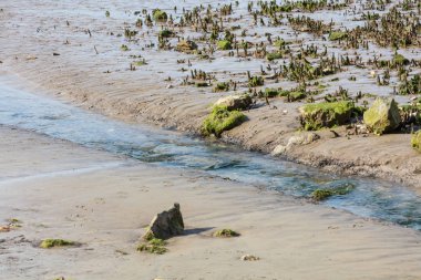 denize Nehri'nin ağzında, su