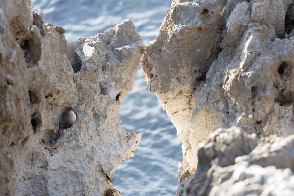 Marine jagged rocks at sea — Stock Photo, Image