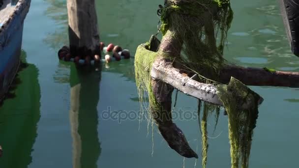 Anker mit Algen und Umweltverschmutzung — Stockvideo