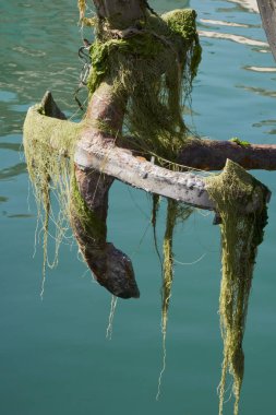 yosun ve kirlilik ile kaplı demir