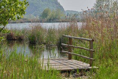 ahşap köprü peatland bahar