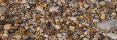 göl kıyısında çakıl plaj