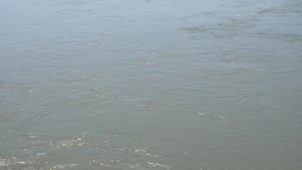 L'eau qui coule sur la rivière — Video