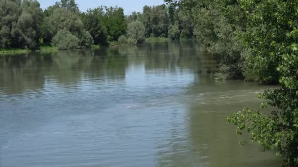 Landschap van de rivier in de zomer — Stockvideo