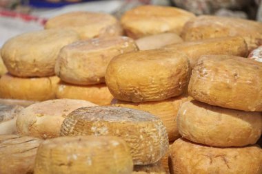 Öğle yemeği için tipik peynir