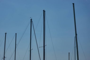 mavi gökyüzünde yelkenli