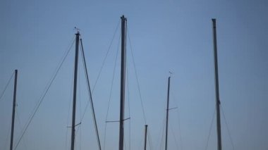 mavi gökyüzünde yelkenli