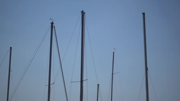 Sailboat in the blue sky — Stock Video