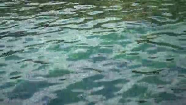 Vagues sur les reflets du lac — Video