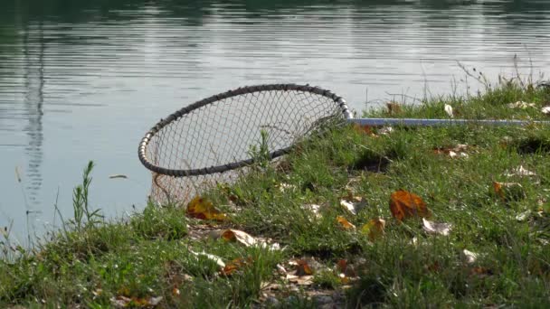 Fishing net at the lake — Stock Video