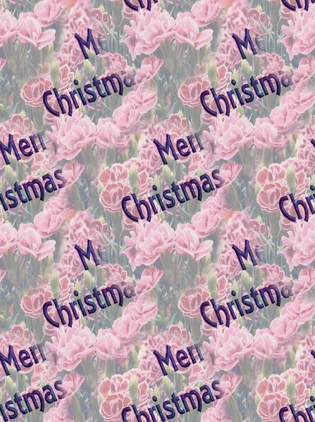 Greeting for Christmas — Stock Photo, Image
