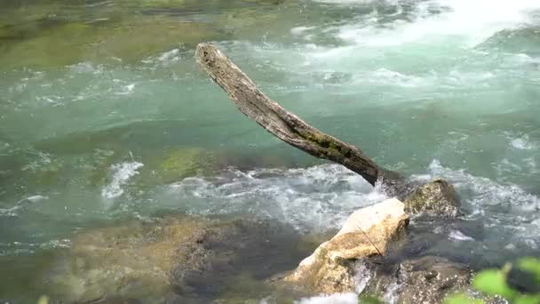 Fluxo e cachoeira — Vídeo de Stock