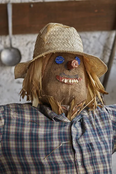 a funny scarecrow