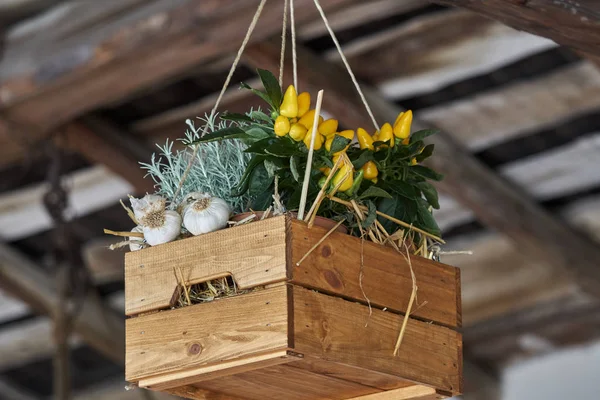 Hanging wooden box with vegetable and flower — Stock Photo, Image