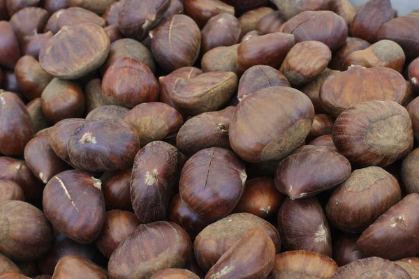 Ripe chestnuts in autumn — Stock Photo, Image