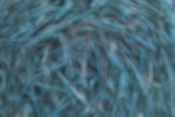 Beli siana na łące — Zdjęcie stockowe