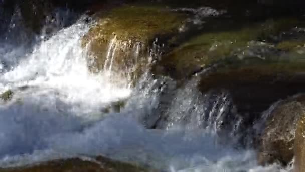 Cascades sur la rivière 