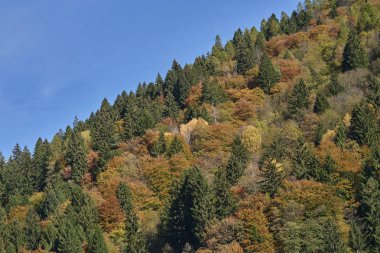 dağda sonbahar renk