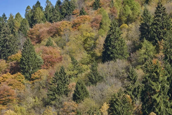 dağda sonbahar renk