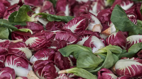 Salada para almoço saudável — Fotografia de Stock