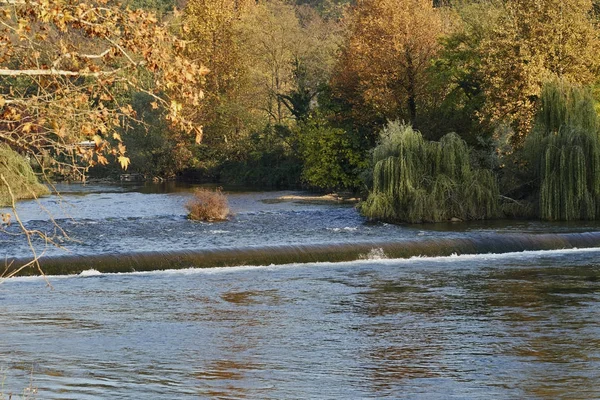 ağacın Nehri üzerinde sonbahar yaprağı