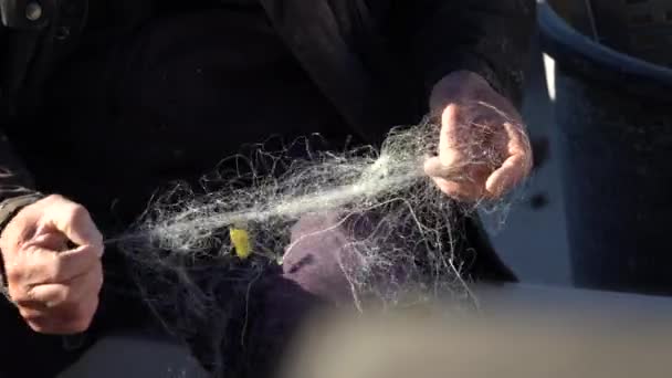 Pêcheur et son filet — Video