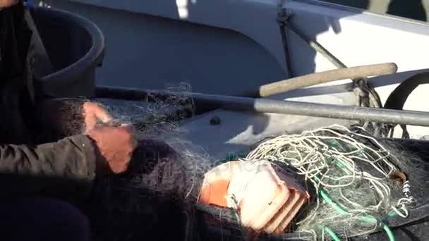 漁師と彼のネット — ストック動画