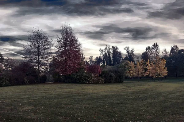 Kolorowe Drzewa Parku Jesienią — Zdjęcie stockowe