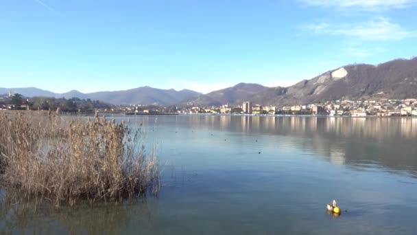 Вид на озеро Сарнико, Италия, январь 2018 года — стоковое видео