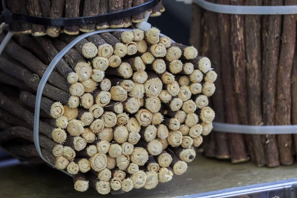 Tasty Licorice Stick — Stock Photo, Image