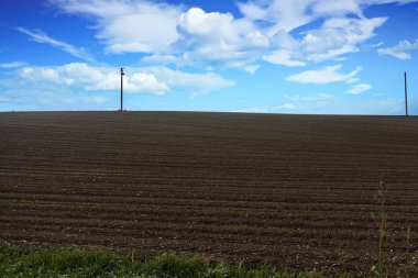 sonbaharda sürülmüş alanlar