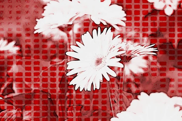 Röd Gerbera Daisy Vas — Stockfoto