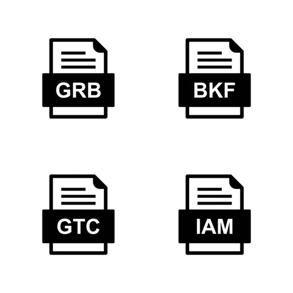 Set Von Symbolen Für Dateiformate — Stockvektor