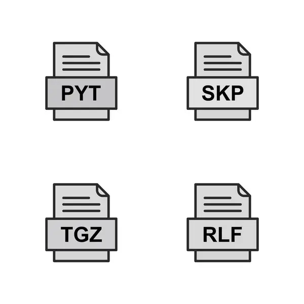 Set Von Symbolen Für Dateiformate — Stockvektor