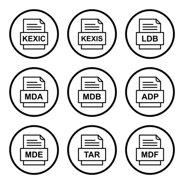 Set Von Symbolen Für Dateiformate — Stockvektor