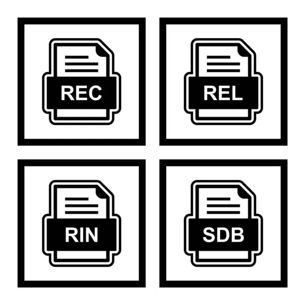 Set Von Symbolen Für Dateiformate — Stockvektor