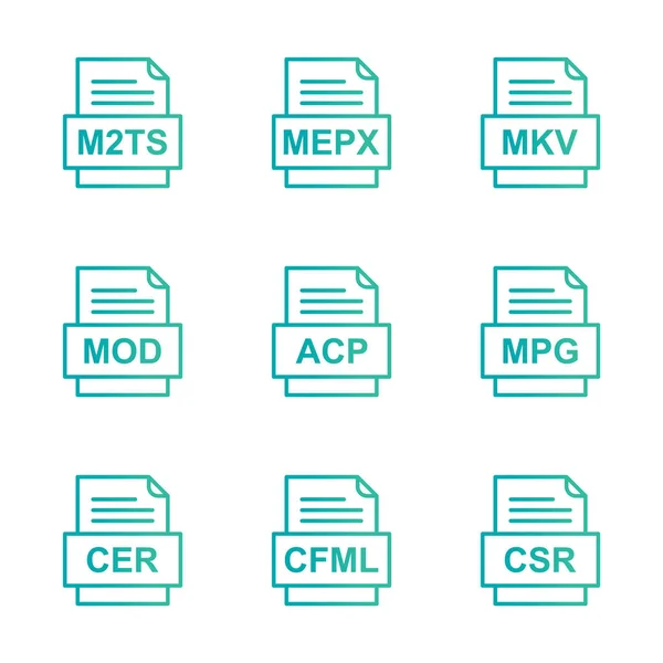 Ensemble Icônes Formats Fichiers — Image vectorielle