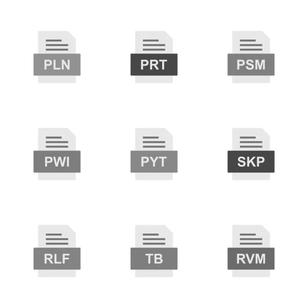 Set Von Symbolen Für Dateiformate — Stockvektor