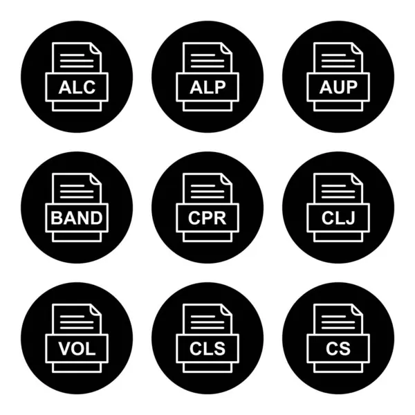 Ensemble Icônes Formats Fichiers — Image vectorielle