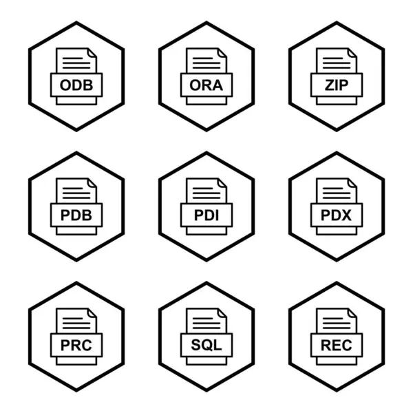 Set Von Symbolen Für Dateiformate — Stockvektor