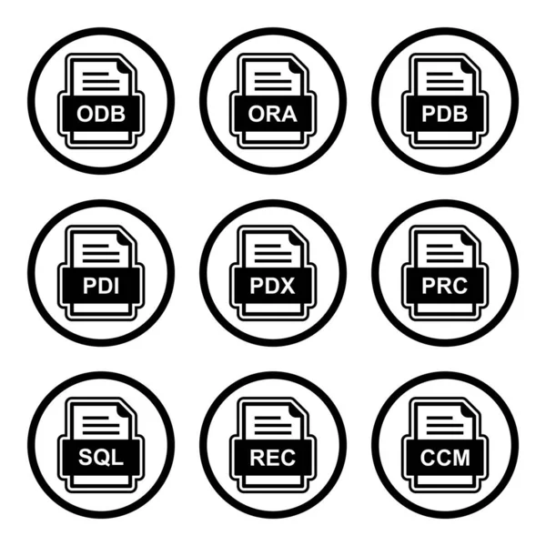 Ensemble Icônes Formats Fichiers — Image vectorielle