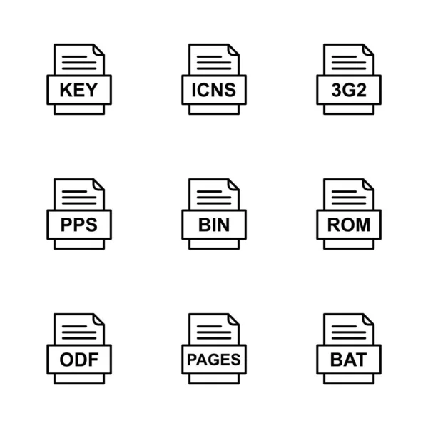 Ensemble Icônes Formats Fichiers — Image vectorielle