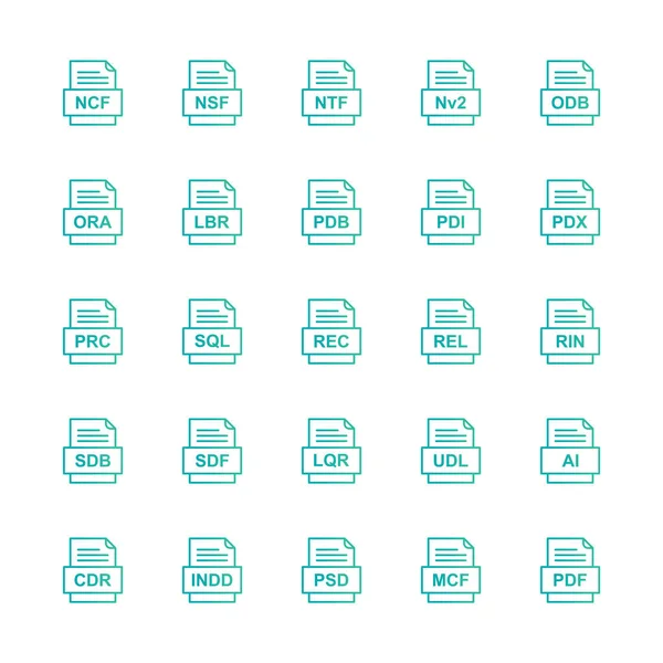 Set Von Symbolen Für Dateiformate — Stockvektor