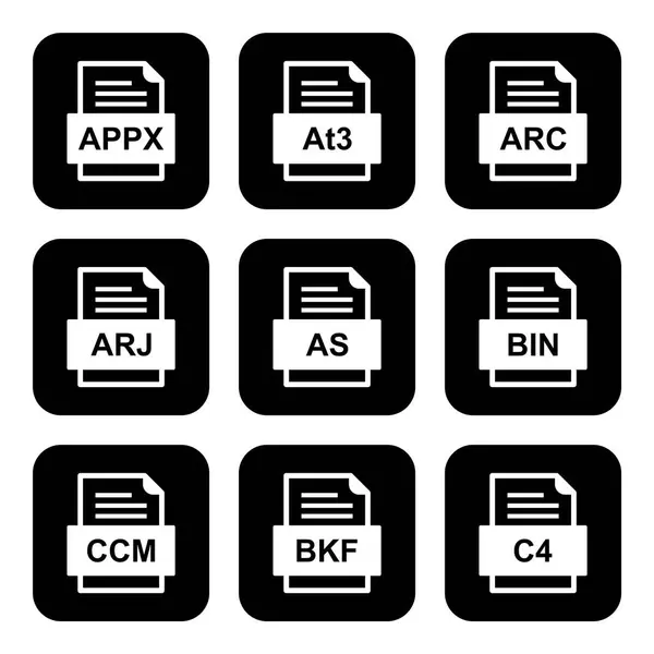 Set Von Symbolen Für Dateiformate — Stockvektor