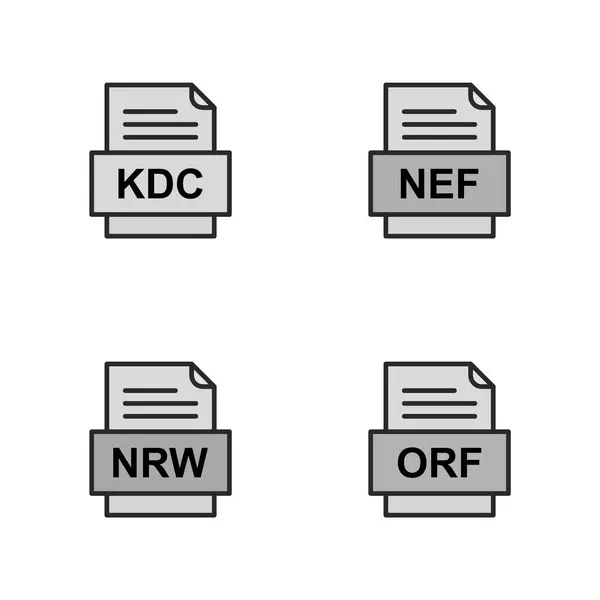 Ensemble Icônes Formats Fichiers — Image vectorielle